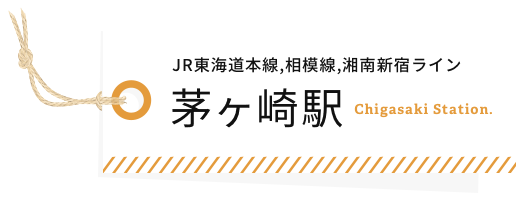 JR東海道本線,相模線,湘南新宿ライン 茅ヶ崎駅 Chigasaki Station